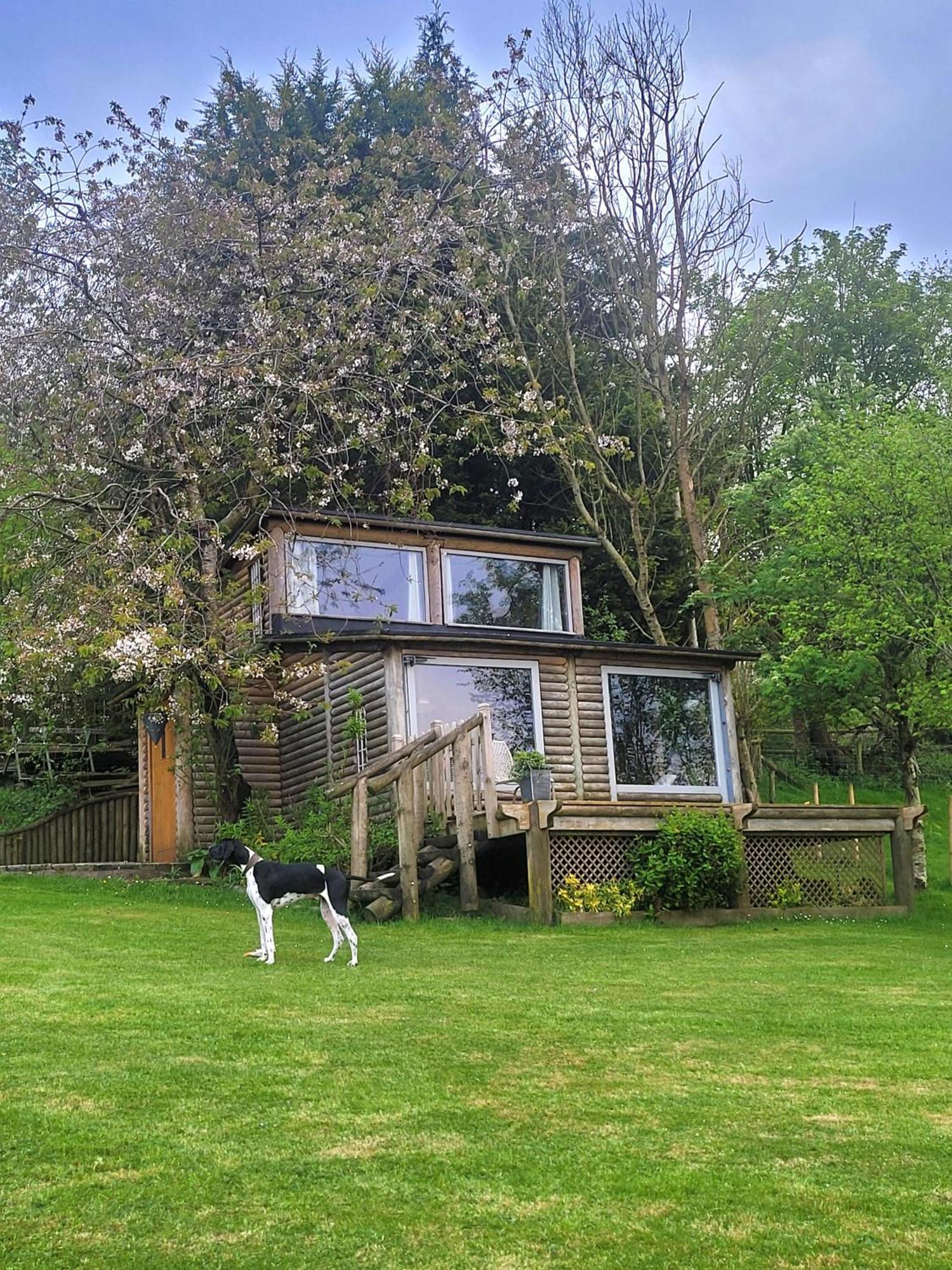 The Summerhouse Llandegla Exteriör bild